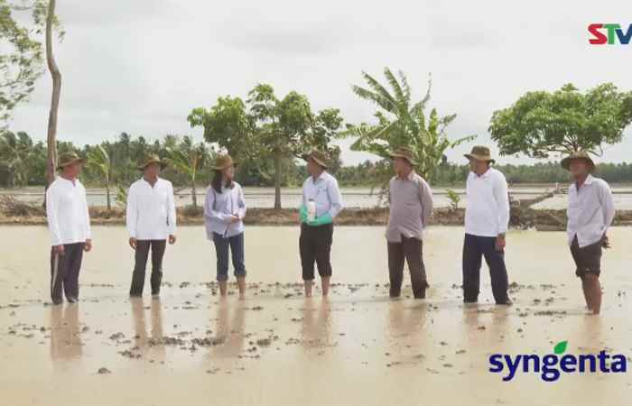 Syngenta và tôi: Tiếp tục chủ đề: Sạch cỏ sung chồi (10-5-2022)